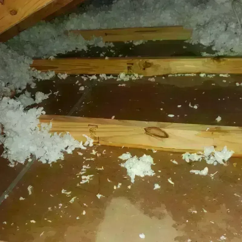 Attic Water Damage in Willow Oak, FL